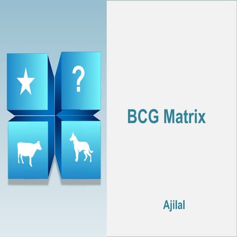 Bcg matrix