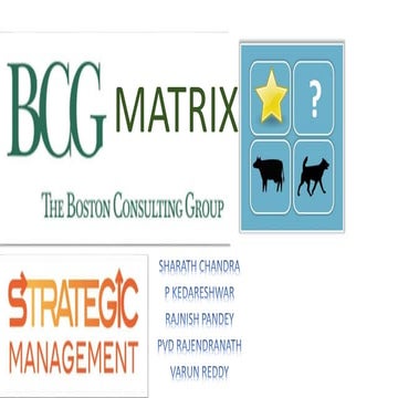 Bcg matrix