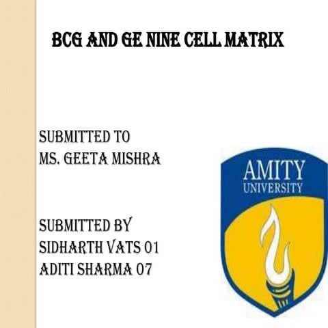 Bcg and spotlight matrix