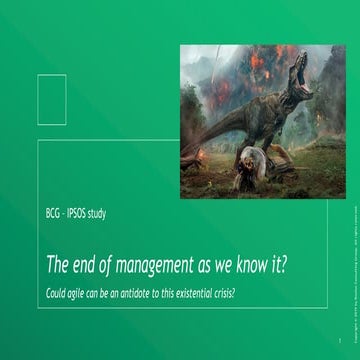 bcg book presentation with all slides proper | PDF