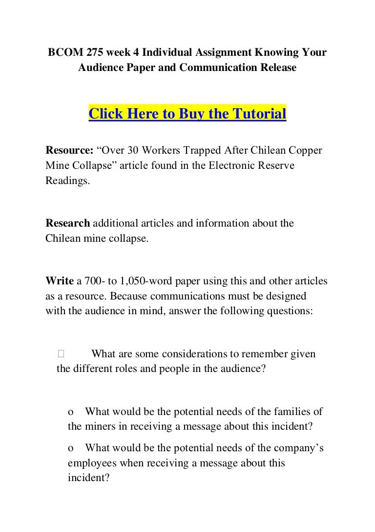 Bcom 275 knowing your audience essay example 08 image
