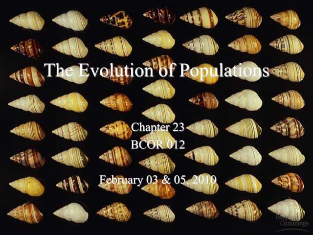 BCORchapter23.ppt