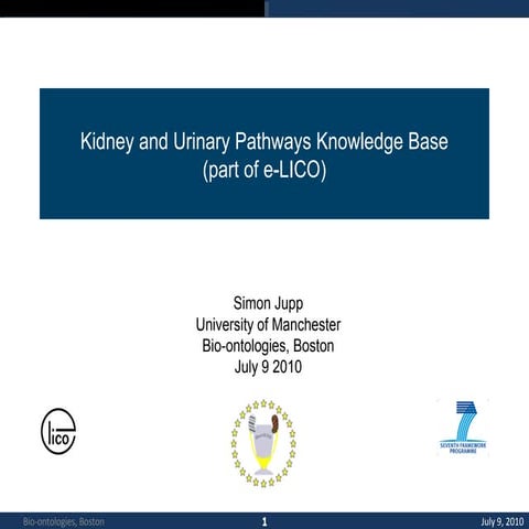 Kidney and Urinary Pathways Knowledge Base (part of e-LICO)