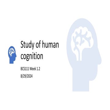 cognition and perception | PPT