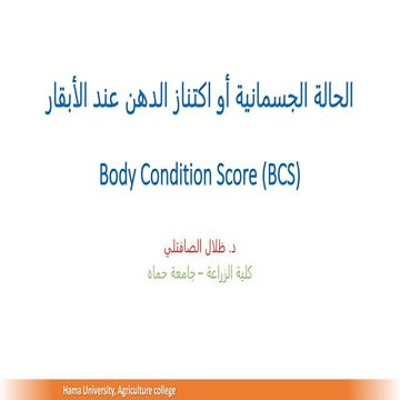 BCS2.pptx