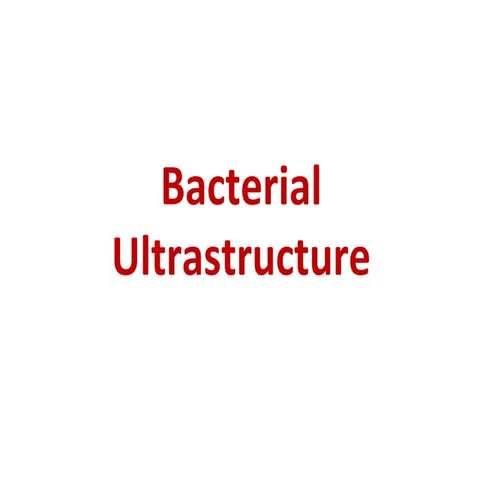 Bcterial ultrastructure all