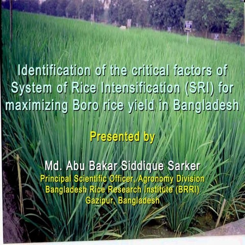 1509 - Identification of the Critical Factors of SRI for maximizing Boro rice...