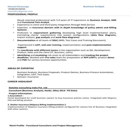 Neerad SirkanungoBusiness Analyst