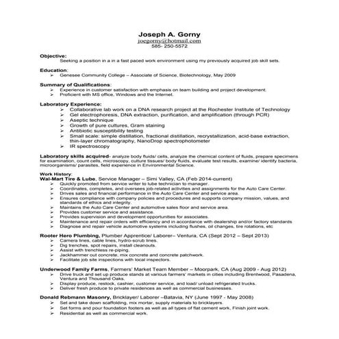 joe resume PDF