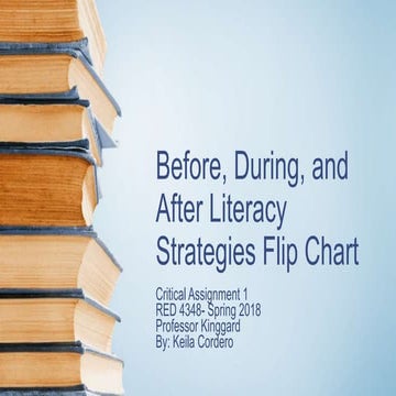 BDA Literacy Strategies Flip Chart