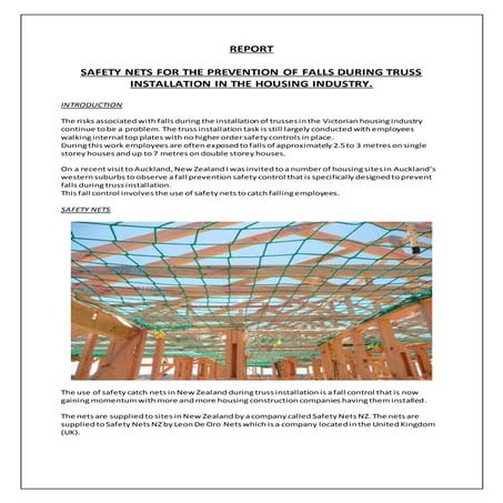Safety Net Report 2 | DOCX
