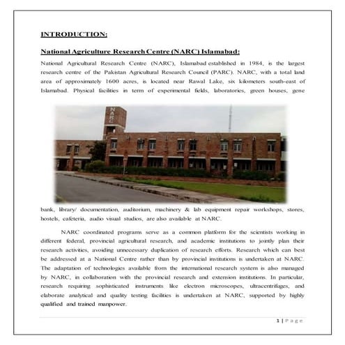 amna mushroom report