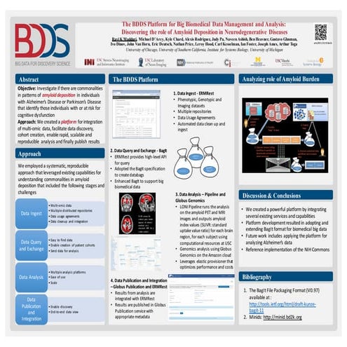 Role of Amyloid Burden in cognitive decline 