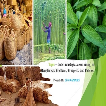 BD Economy slides.pptx