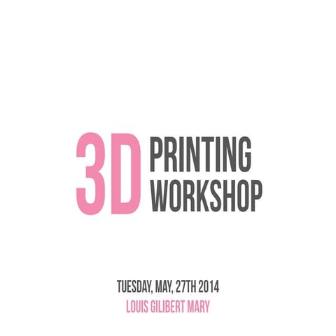 2014-05-27_3D-Printing-Louis-Gilibert-Mary