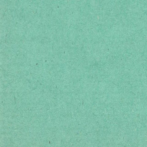 BDHPA power point presentation 