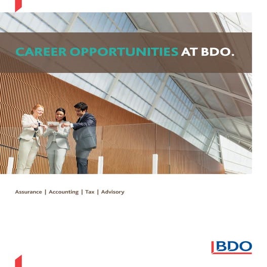 BDO General Audit of Financial Statements | PDF