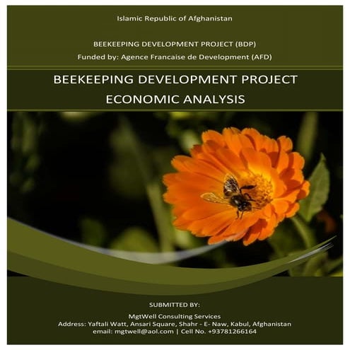 Beekeeping Development Project Economic Analysis