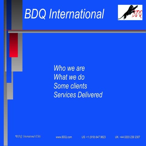 Bdq International Linkedin