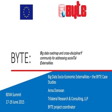 Big Data Socio-Economic Externalities – the BYTE Case Studies