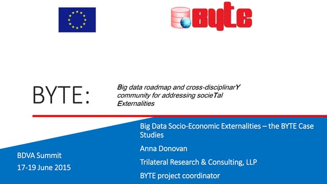 Big Data Socio-Economic Externalities – the BYTE Case Studies