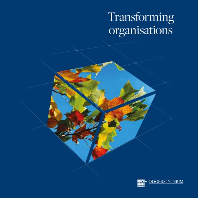Odgers Interim Brochure