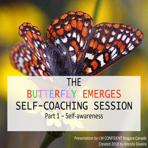 The Butterfly Emerges Self-coaching Session 1