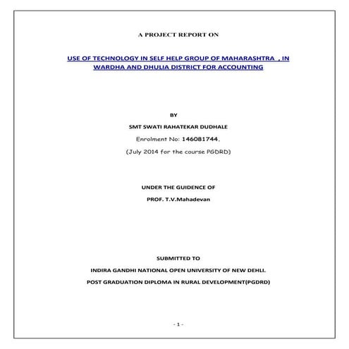 project report feb 1