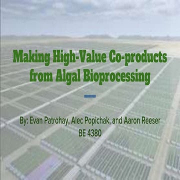 Be 4380 project presentation