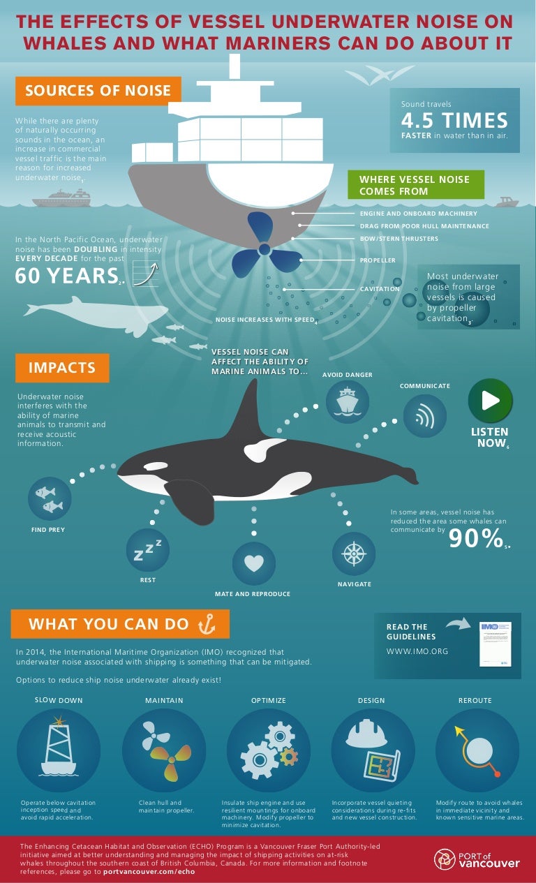 ECHOProgramUnderwaterNoiseInfographicApril2016