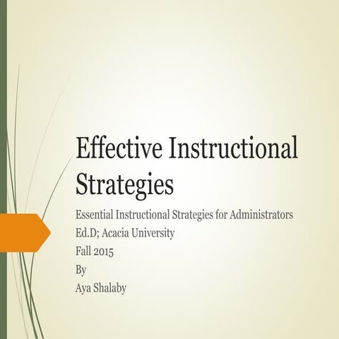 Effective Instructional Strategies