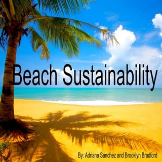 UNSDG #13 – Climate Action Beach Su...