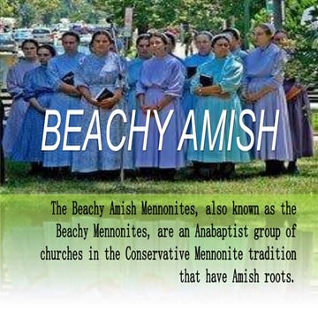 BEACHY-AMISH.pptx