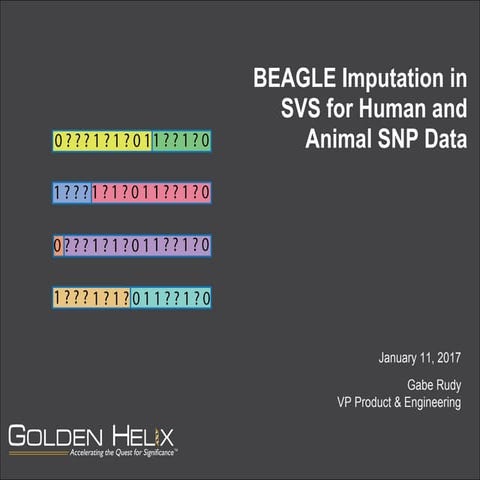 Beagle Imputation in SVS