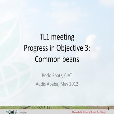 TLI 2012: Bean research progress report