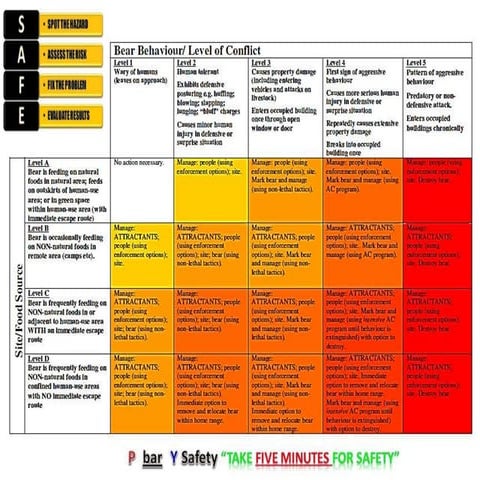 Bear behavior level of conflict risk matrix | PPTX