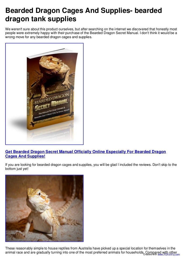 supplies needed for bearded dragon