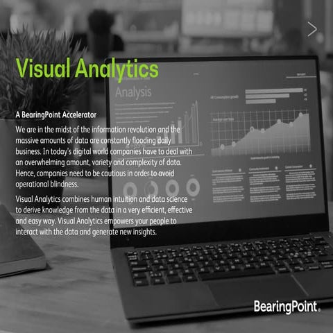 Visual Analytics