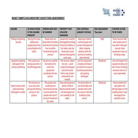 Beast rampz skatepark risk assessment