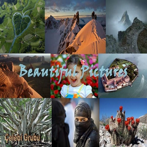Beautiful pictures