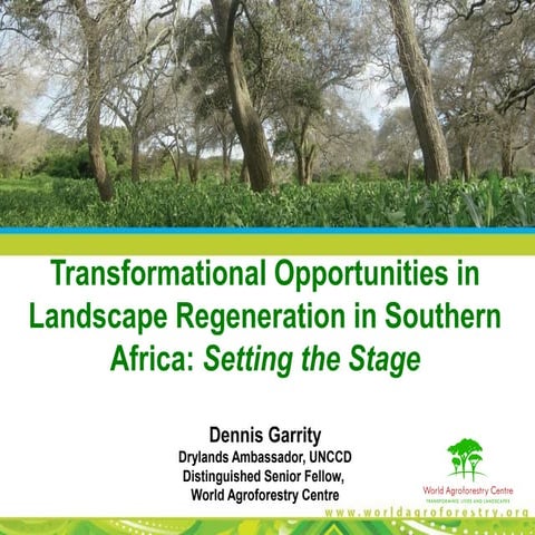 Transformational Opportunities in Landscape Regeneration in Southern Africa: ...