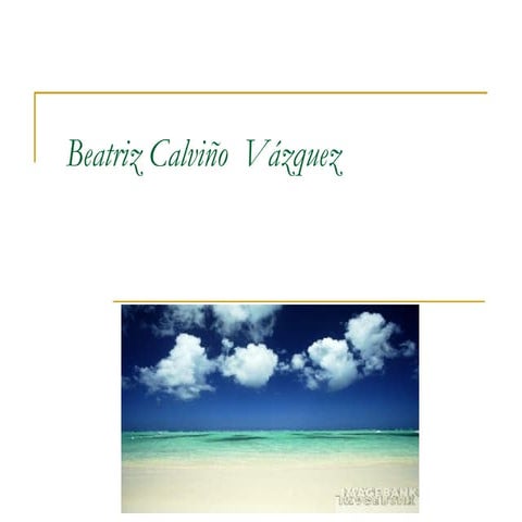 Beatriz CalviñO  VáZquez