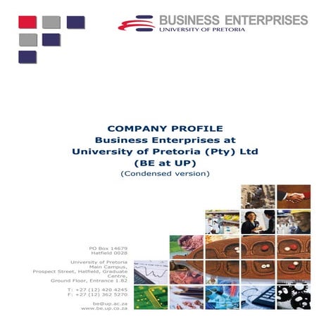 BE at UP Company Profile Summary (2012)
