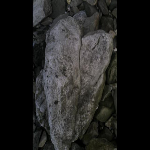 Beautiful Funny Stones