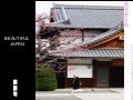 Beautiful Japan (Withsound)