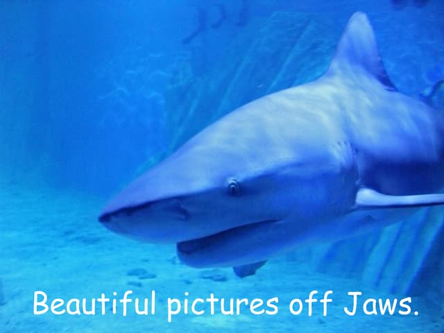 Beautiful Slideshow With Jaws