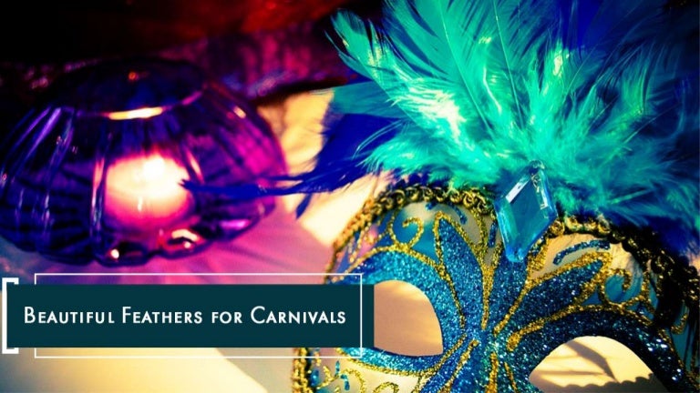 Beautiful Feathers for Carnivals