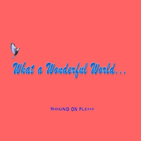 Beautifull places [from www.metacafe.com]