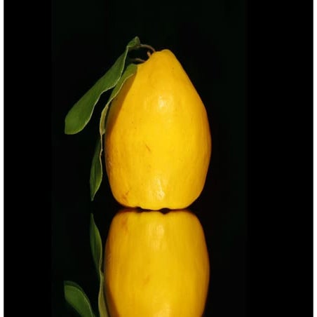 Beautiful Photos Of Fruits