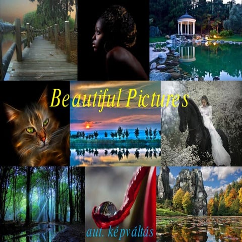 Beautiful Pictures